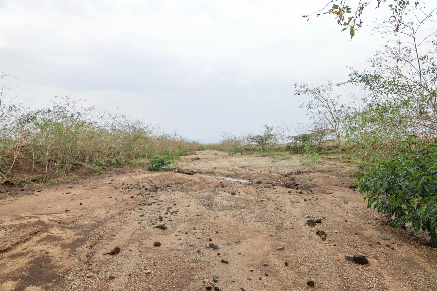 The Hells Gate site at Naivasha — open ground, dirt access road, Rift Valley sky